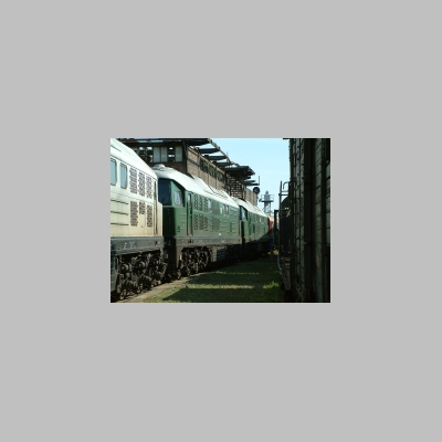MACf0018.jpg