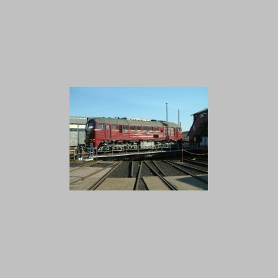 MAFf0037.jpg