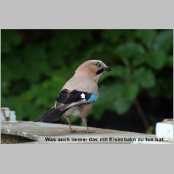 dsc_2502.jpg