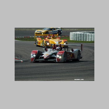 DSC_4294.JPG
