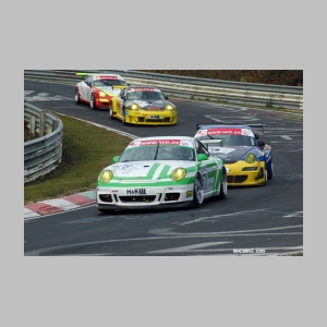 DSC_7262.JPG