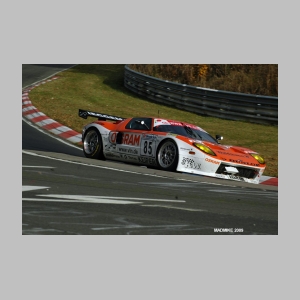DSC_7709.JPG